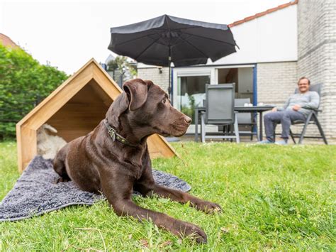 weekend weg met hond omheinde tuin|Weekendje weg met hond omheinde tuin 